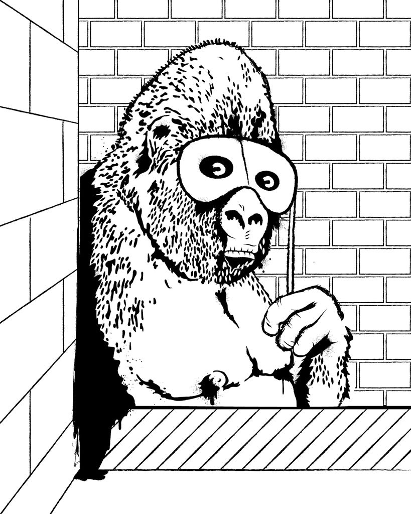 Banksy Coloring Book Malebog