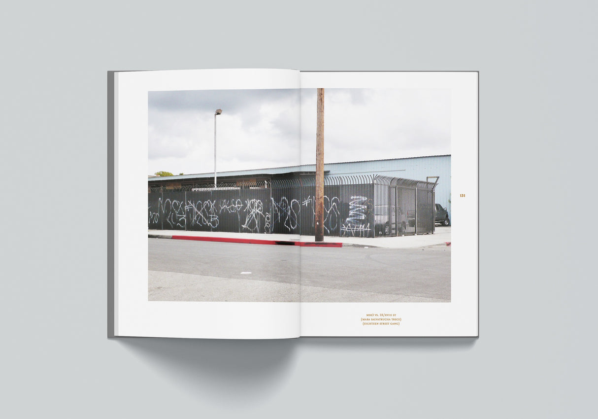 Cholo Writing: Latino Graffiti in Los Angeles | Bog