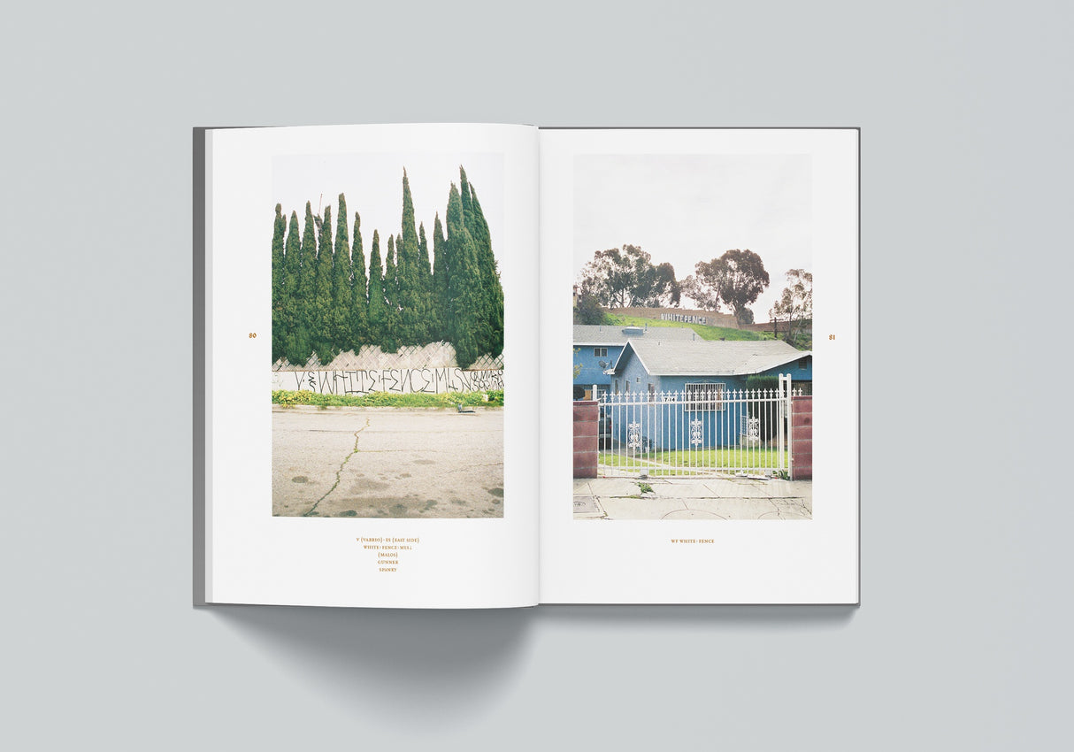 Cholo Writing: Latino Graffiti in Los Angeles | Bog