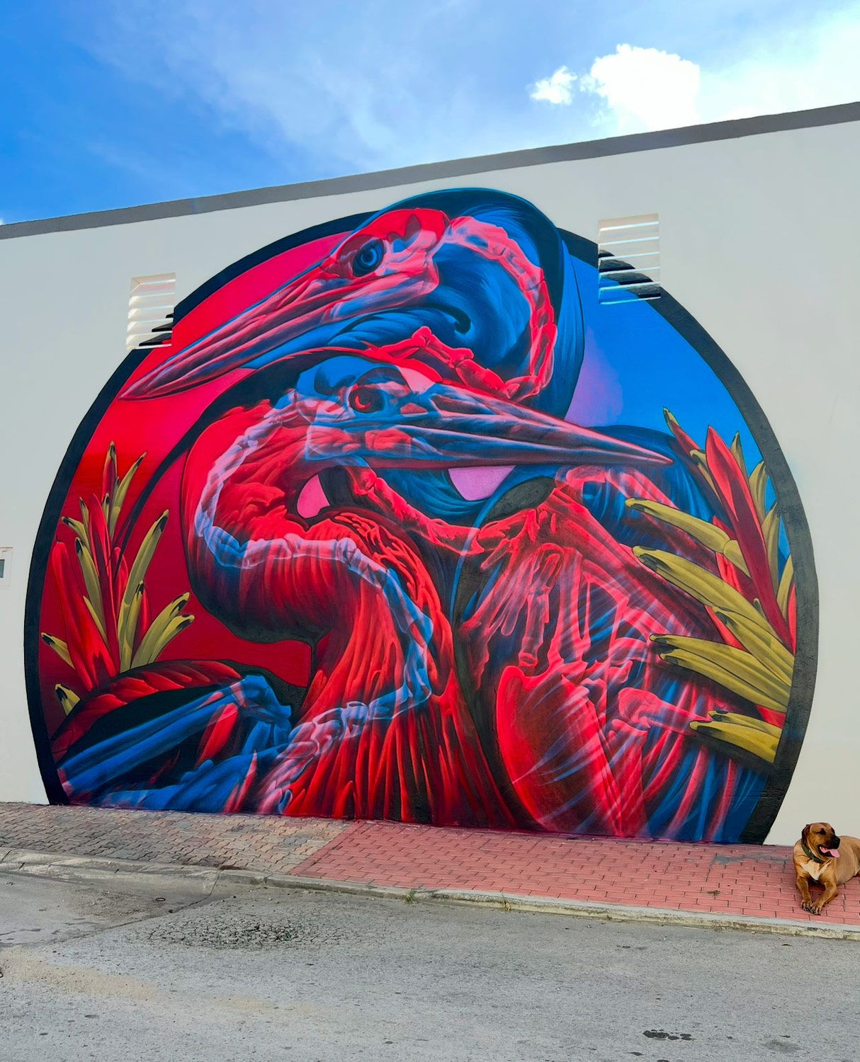 Montana Black // Insane 51 TR5000 True Cyan Limited Can | 400ml