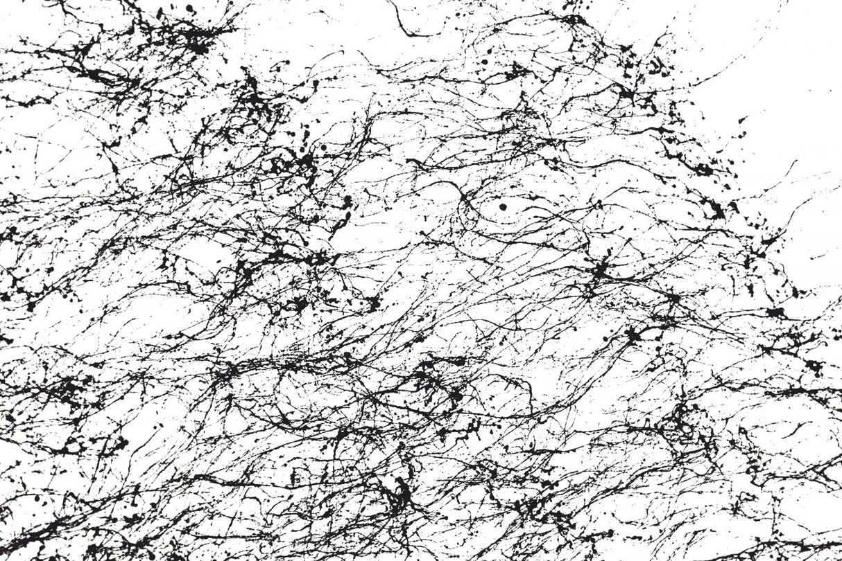 Montana Spider | 150ml Black